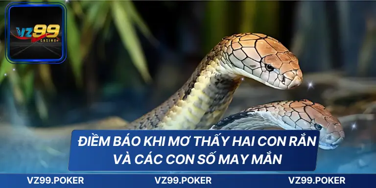 Điềm Báo Khi Mơ Thấy Hai Con Rắn Và Các Con Số May Mắn 6 Điềm Báo Khi Mơ Thấy Hai Con Rắn Và Các Con Số May Mắn