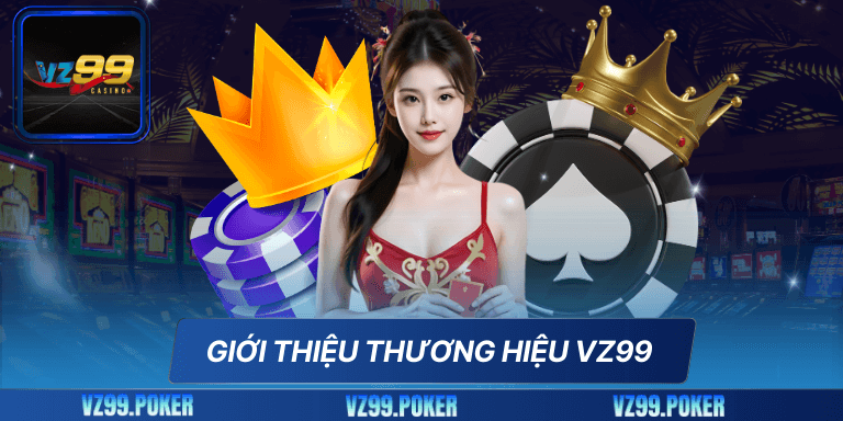 Giới thiệu thương hiệu VZ99