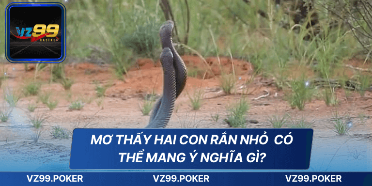 Mơ thấy hai con rắn nhỏ có thể mang ý nghĩa gì?