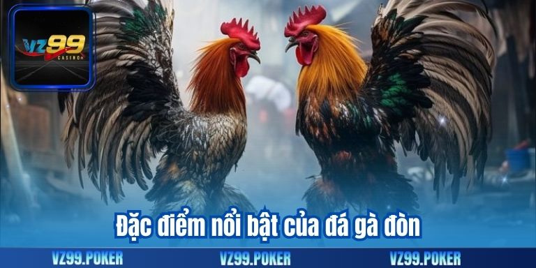 Đặc điểm nổi bật của đá gà đòn