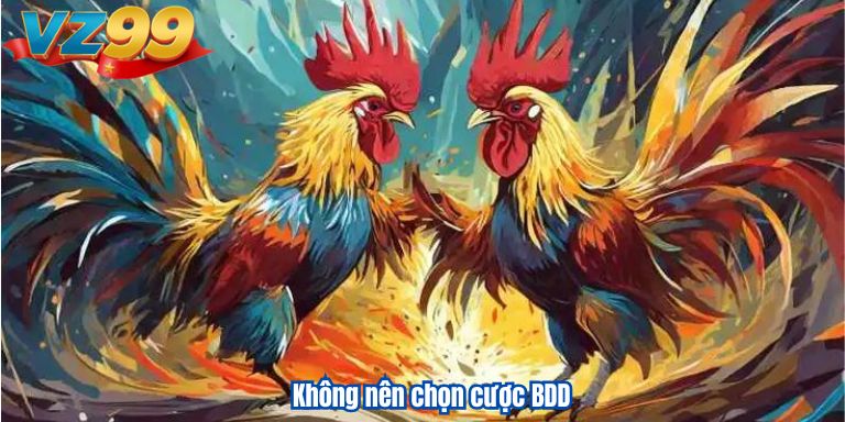 Không nên chọn cược BDD